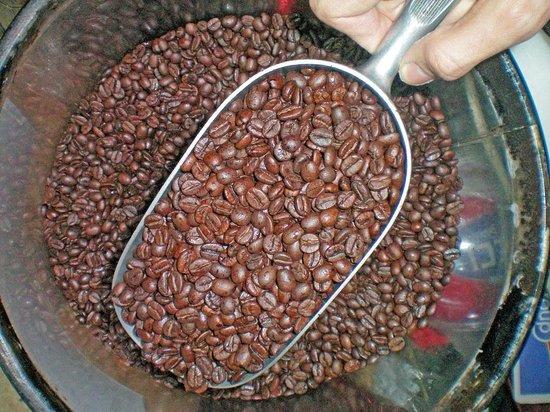 Torrefazione Caffe Oriental